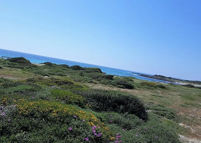 Punta Prosciutto Gma Tourism Сasa de vacaciones Porto Cesareo